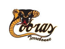 Partie locale LHJAAAQ Cobras de Terrebonne